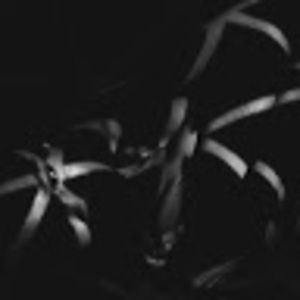 Meet your Posher, Rickelle